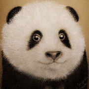 Panda Smile, Mix media, pencil, pastel Panda Smile, Mix media, pencil, pastel