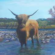 Hamish Hamish