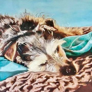 Forty Winks Forty Winks