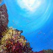Fonds Marins Volcanic Base Fonds Marins Volcanic Base
