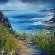 .West coast of Ireland .West coast of Ireland