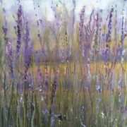 Ile de Re, Lavender II Ile de Re, Lavender II