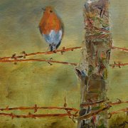 My Pal Mr. Robin My Pal Mr. Robin