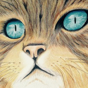 Meow Meow