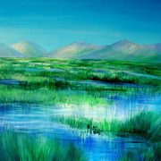 Connemara Reflections Connemara Reflections