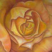 Golden Rose Golden Rose