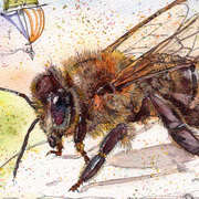 (Let me) BEE! (Let me) BEE!