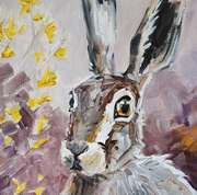 Aramanthine Hare Aramanthine Hare