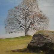 Spring Tree Spring Tree