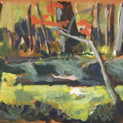 Algae On Stream Algae On Stream