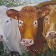 Moo Moo