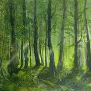 Shrule Wood Shrule Wood