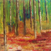Forest Floor Forest Floor