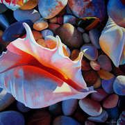 Pebbles 'n Shells Pebbles 'n Shells