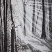 Breaking Through, Charcoal on paper, 11.5 x 10.5 ins by Gerri McCaffery