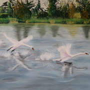 A bit of a barney, Soft Pastels on pastelmat, 11.5 x 9.5 by Gerri McCaffery
