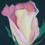 Jenna's Rose, Soft Pastels on pastelmat, 7.5 x 6.5 ins by Gerri McCaffery
