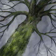 November Tree, Charcoal, ink and watercolour on paper, 50x40cms by Leo de Freyne